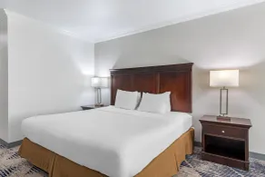 Best Western Plus Southpark Inn & Suites - Rom
