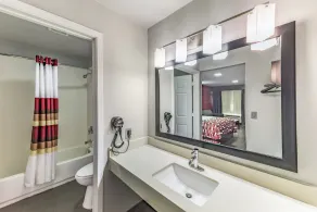 Red Roof Inn Dallas - Mesquite Fair Park NE - Bathroom