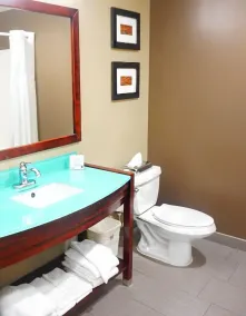 Quality Suites Waldorf - Salle de bain