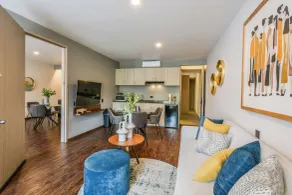 The Sterling Condesa - Camera
