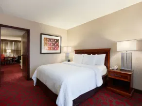 Embassy Suites by Hilton Dulles Airport - Chambre