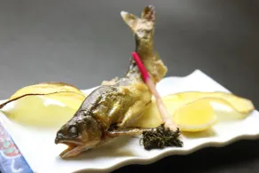 Teiensaryo Yamanakako - Restaurant