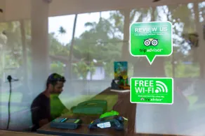 Lazy Frog Guest House - Réception