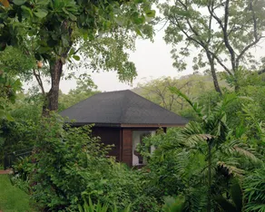 The Postcard Hideaway, Netravali Wildlife Sanctuary, South Goa - Vue de la chambre