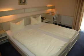 Zum neuen Schwan - Room