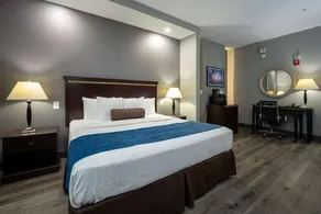Comfort Suites Seabrook - La Porte - Kemah - Værelse