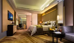 Shenzhen Futian Wyndham Grand - Room