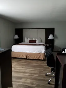 Wyndham Garden Hotel - Jacksonville - Room