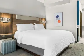 Holiday Inn Express & Suites Detroit - Novi by IHG - Chambre
