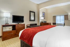 Comfort Suites Jacksonville Airport - Room