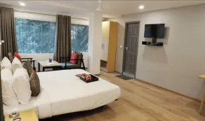 Maitrayee Hotel - Nagpur - Chambre