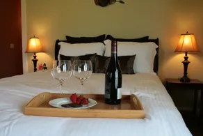 La Bastide Bed and Breakfast - Room