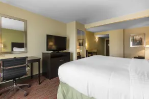 Holiday Inn Express Hotel & Suites Cullman by IHG - Chambre