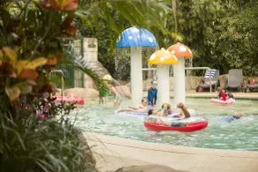 Ashmore Palms Holiday Village - Pool