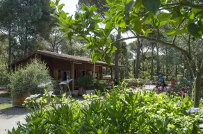Camping Campo dei Fiori - Reception