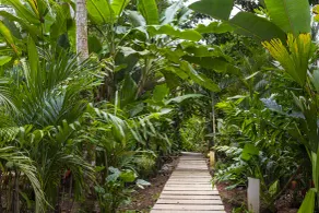 La Paz del Caribe Adults Only - Udsigt fra værelset