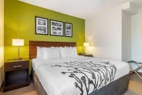 Sleep Inn I-95 North Savannah - Chambre