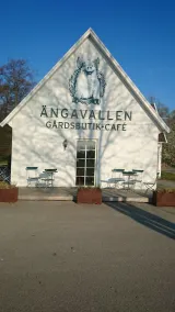 Ängavallen - Resepsjon