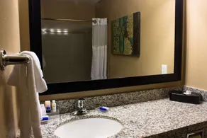 BEST WESTERN Plus Menomonie Inn & Suites - Salle de bain