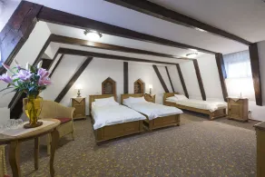 Hotel Cerny Slon - Habitación