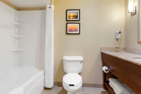 Comfort Suites South Haven near I-96 - Salle de bain