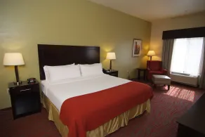 Holiday Inn Express & Suites Indianapolis North - Carmel by IHG - Chambre