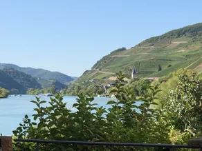 Hotel garni "Café im Hamm" - Ausblick vom Zimmer