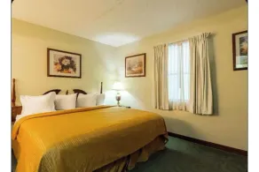 Eco Lodge Inn & Suites Bentonville near I 49 - Room