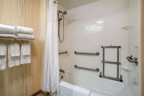 Comfort Inn & Suites Newark - Wilmington - Salle de bain