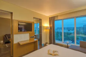 Novotel Bengaluru Outer Ring Road - Room