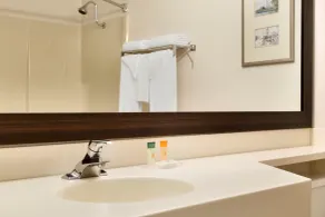 Travelodge by Wyndham North Bay Lakeshore - Salle de bain