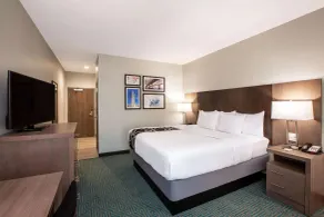 La Quinta Inn & Suites by Wyndham Lafayette Oil Center - Chambre