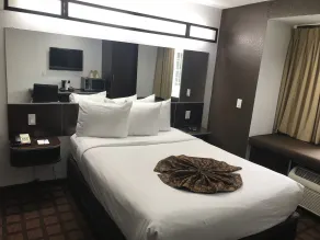 Microtel Inn & Suites by Wyndham Jacksonville Airport - Chambre