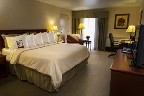 RIT Inn & Conference Center - Chambre