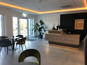 RheinVilla ARTE - Reception