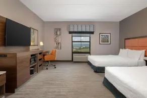 Hampton Inn & Suites Wilkes-Barre/Scranton - Chambre