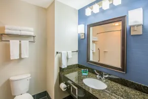Holiday Inn Express Cleveland Airport - Brook Park by IHG - Salle de bain