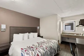 Red Roof Inn Binghamton - Johnson City - Room