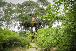 Leopard Nest in Yala - Udsigt fra værelset