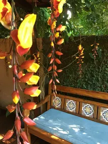 Aratinga Inn - Reception