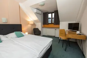 Kozjanski dvor - Habitación