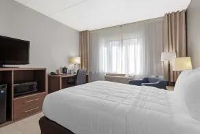 Clarion Hotel & Suites BWI Airport North - Chambre