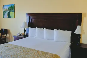 Hacienda Guadalupe Hotel - Room