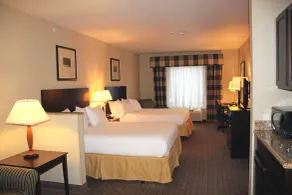 Holiday Inn Express & Suites Syracuse North - Airport Area by IHG - Værelse