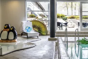 The Lodge Billund - Pool