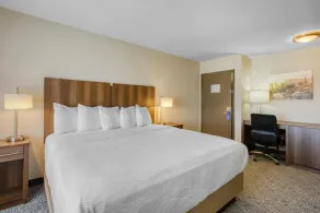 Best Western North Phoenix Hotel - Chambre