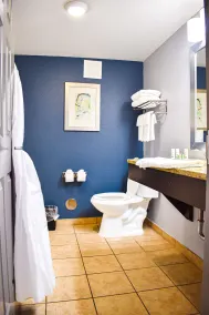 Baymont by Wyndham Midland Center - Salle de bain