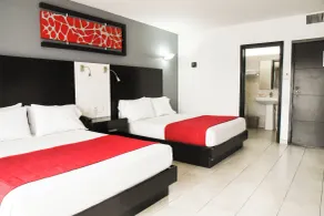 Hotel Expo Plaza Business and Family Guadalajara - Room