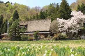 Gokayama Onsen Akaokan - Vue de la chambre
