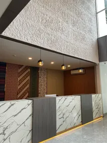 Adia Suites Hotel - Reception